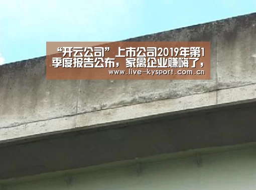 开云公司