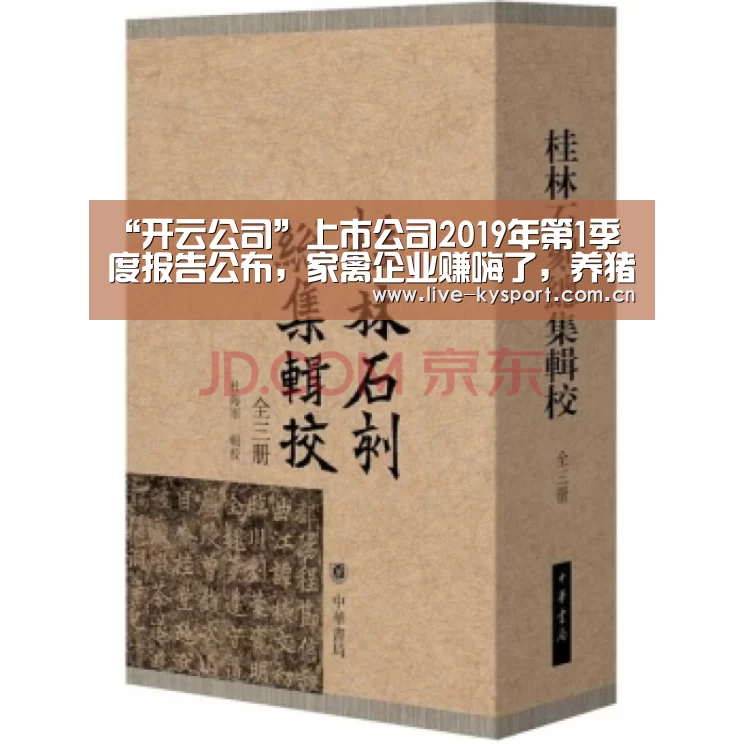 开云公司